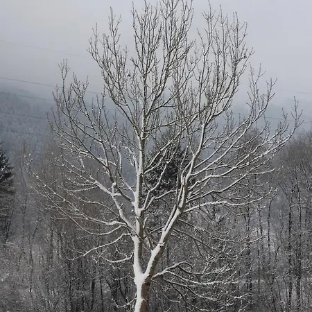 Apartment Spieljochblick
