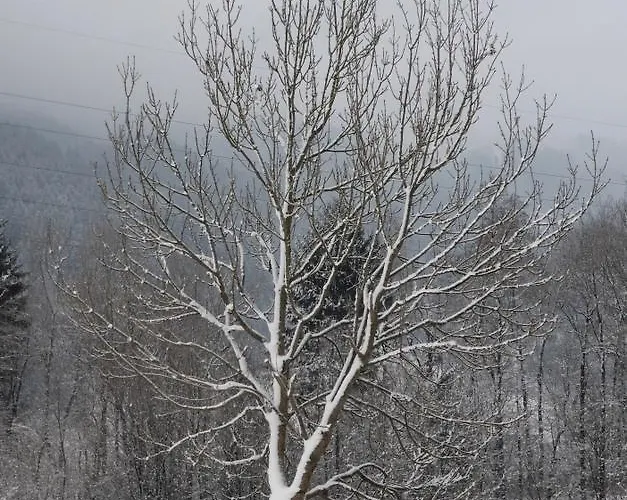 Apartment Spieljochblick