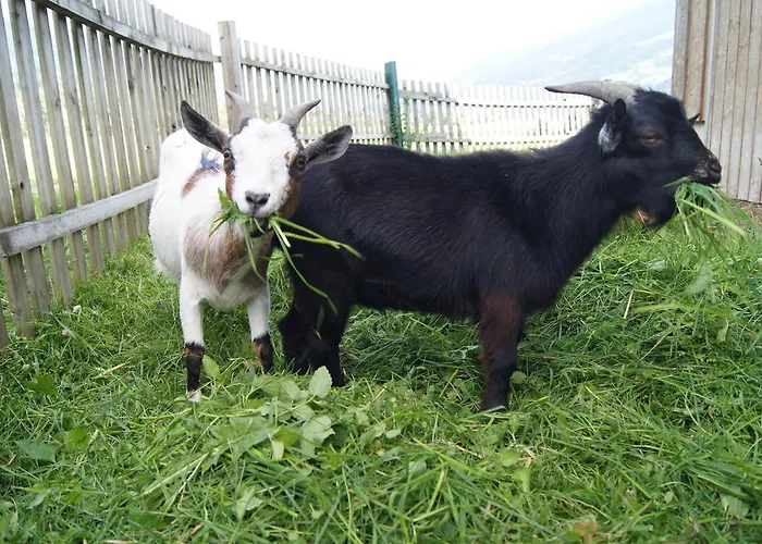 Apartamento Spieljochblick *